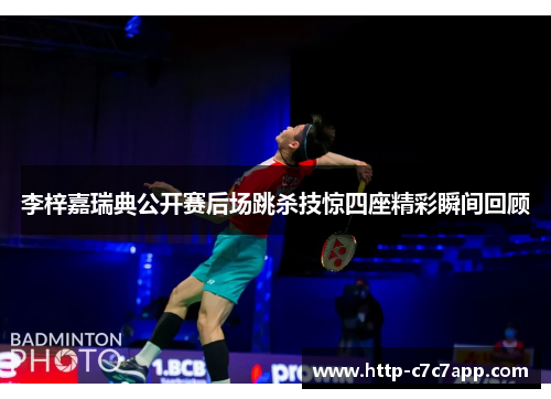 李梓嘉瑞典公开赛后场跳杀技惊四座精彩瞬间回顾